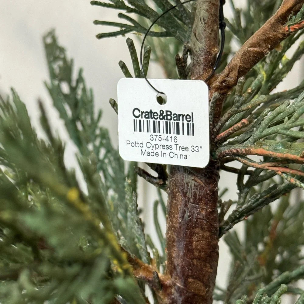 Crate & Barrel, Faux 33” Cypress Tree in White Pot